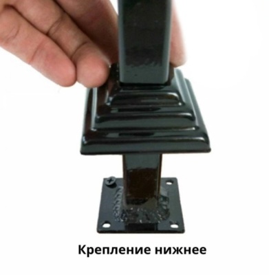 низ